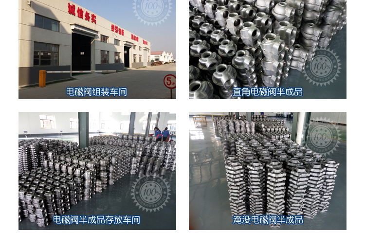 淹没式电磁脉冲阀