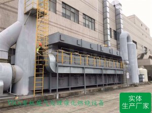 60000m3/h杭州喷涂废气催化燃烧设备
